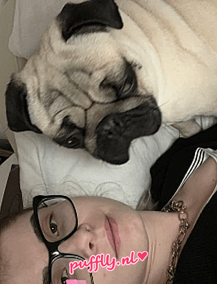 Cataleya — photo 2 | Puffly