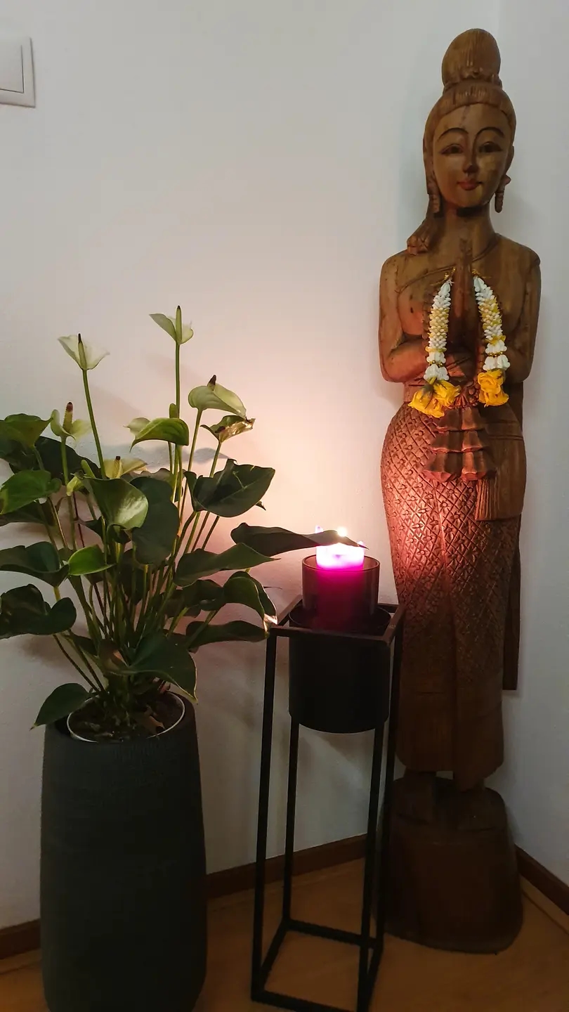 Body Language Thaise Massage in Beverwijk — brothel and erotic club